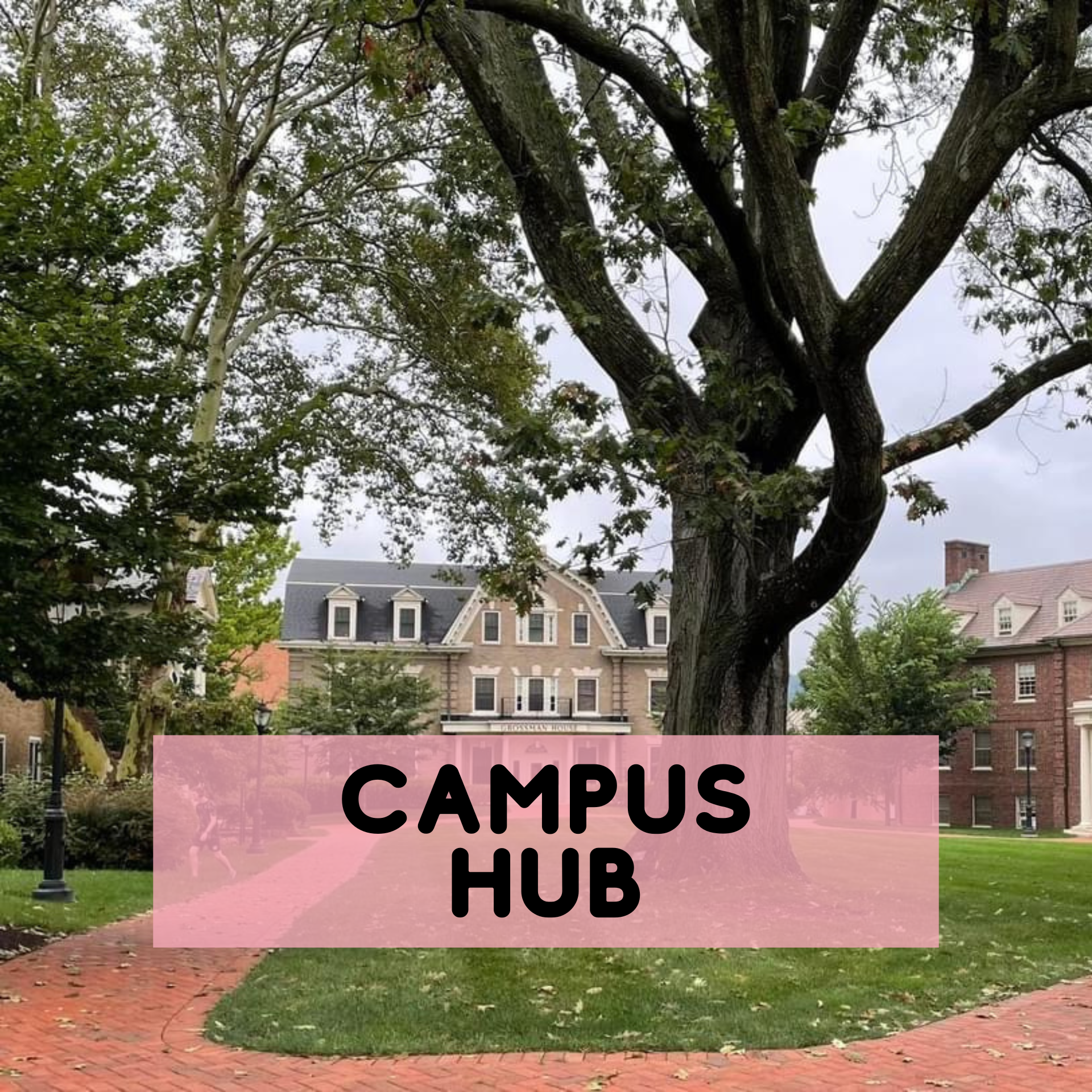 Student Experiences: Lafayette College